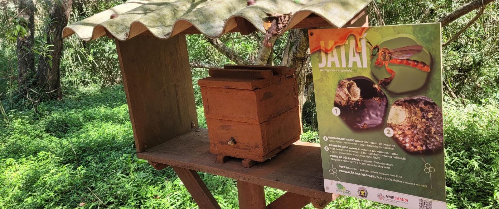 Meliponário para turismo rural